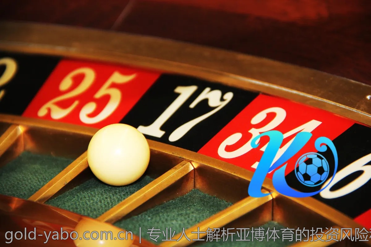 专业人士解析亚博体育的投资风险和收益