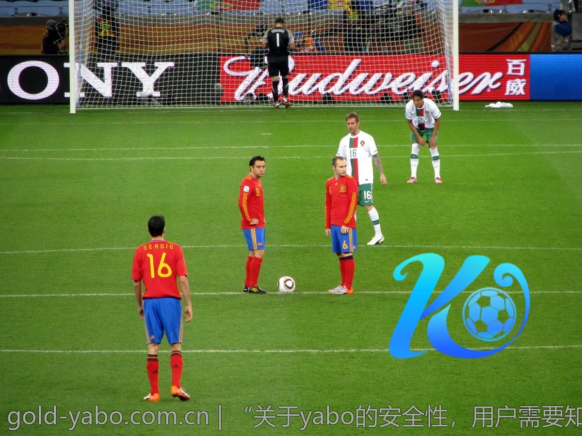“关于yabo的安全性，用户需要知道的问答”
