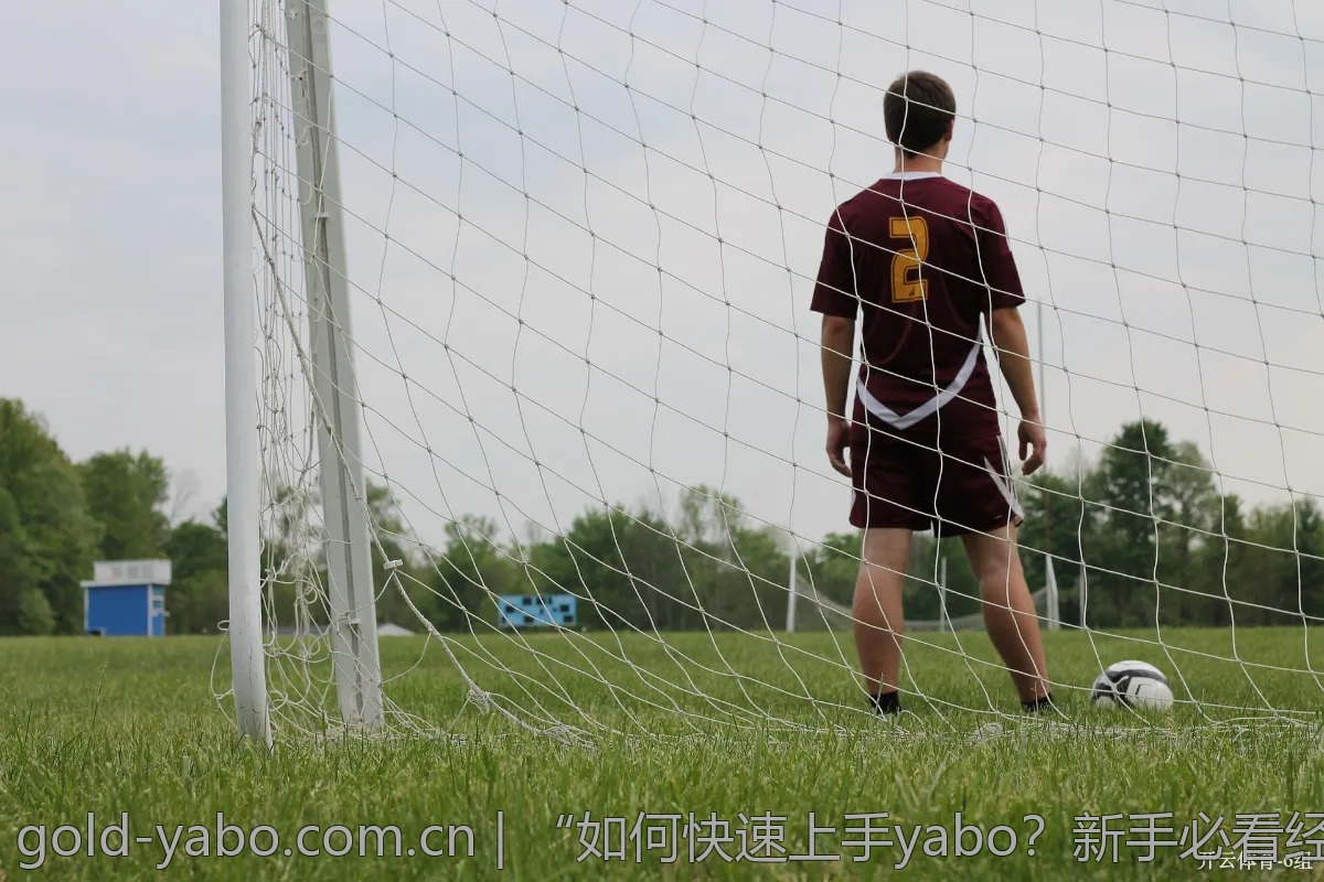 “如何快速上手yabo？新手必看经验分享”