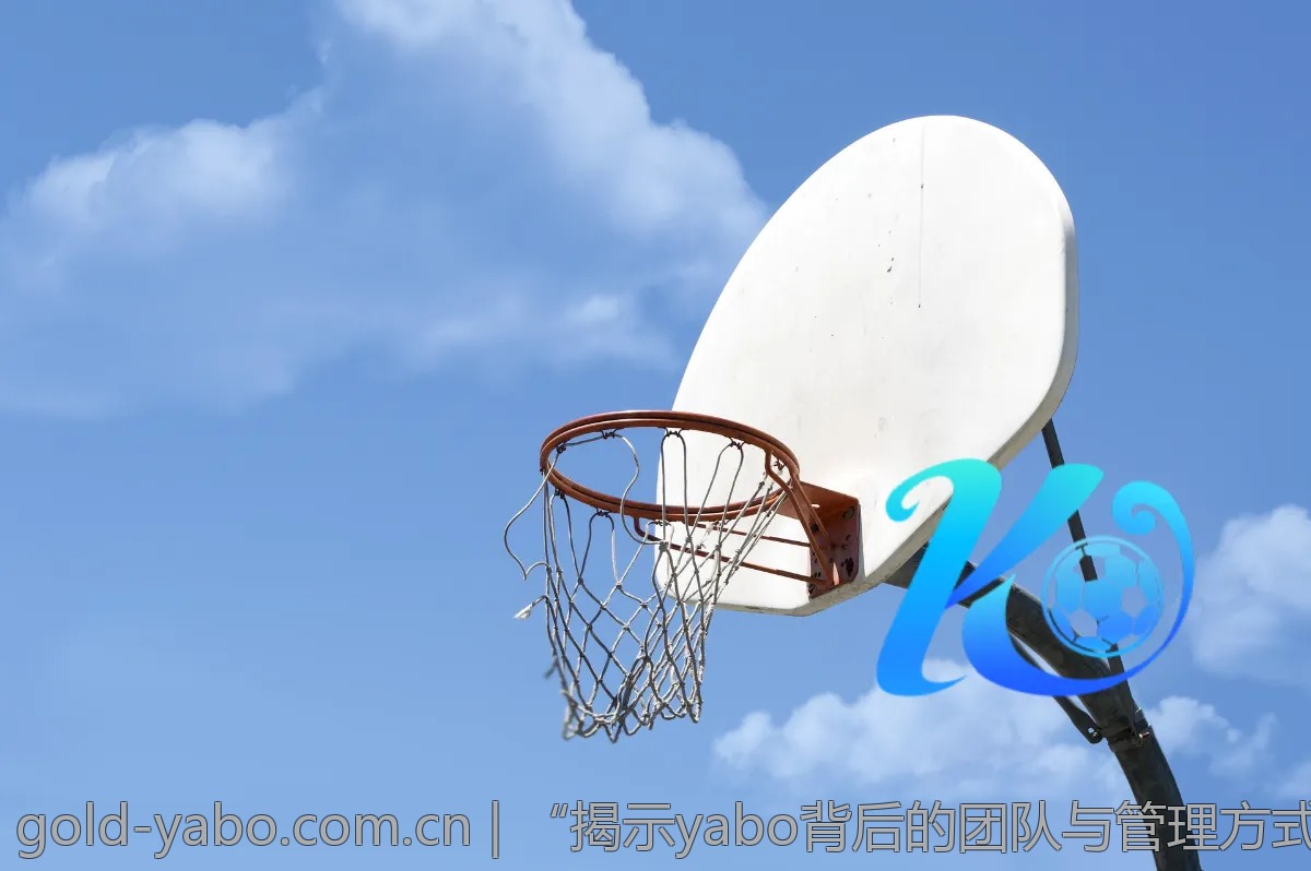 “揭示yabo背后的团队与管理方式”